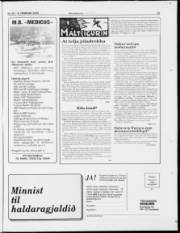 Síða 23