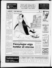 Síða 28