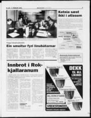 Síða 3