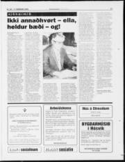 Síða 13