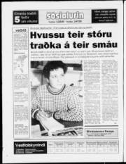 Síða 16