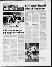 Síða 21