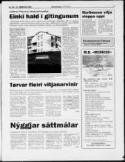Síða 3