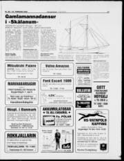 Síða 17