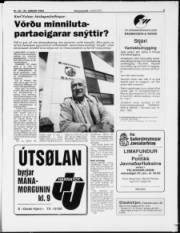 Síða 3