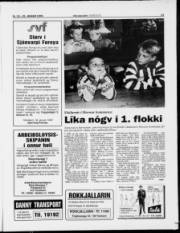 Síða 13