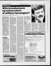 Síða 17