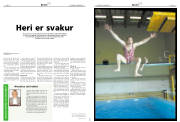 Síða 8