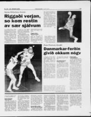 Síða 13