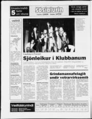 Síða 20