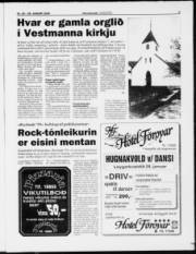 Síða 3
