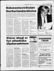 Síða 12