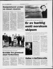 Síða 13