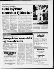 Síða 17