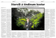 Síða 15