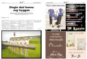 Síða 16