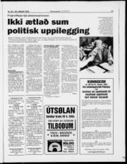 Síða 17
