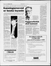 Síða 9