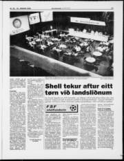 Síða 17