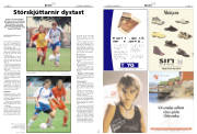 Síða 22