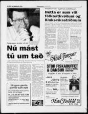 Síða 3
