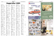 Síða 23
