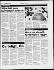 Síða 13