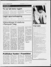 Síða 17