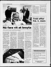 Síða 5