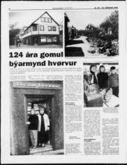 Síða 8