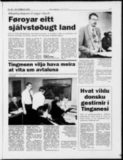 Síða 15
