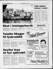 Síða 3