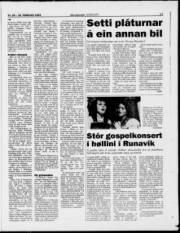 Síða 17