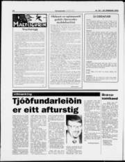 Síða 24