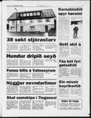 Síða 5
