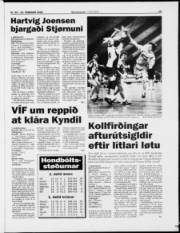 Síða 15