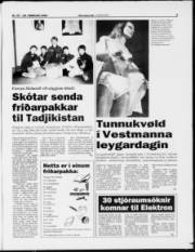 Síða 3