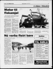 Síða 5