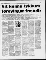 Síða 17