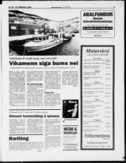 Síða 3