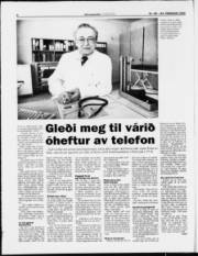 Síða 6