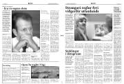 Síða 3