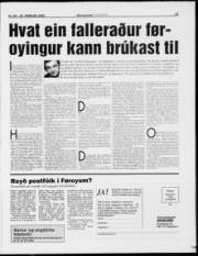 Síða 19