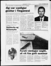 Síða 20
