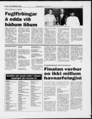 Síða 15