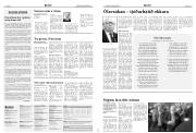 Síða 6
