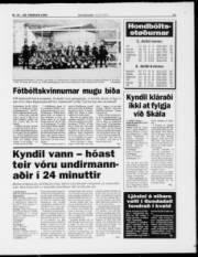 Síða 11