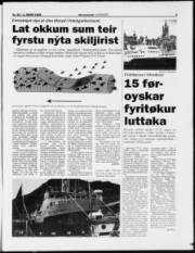 Síða 3