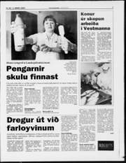 Síða 7