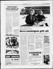 Síða 6